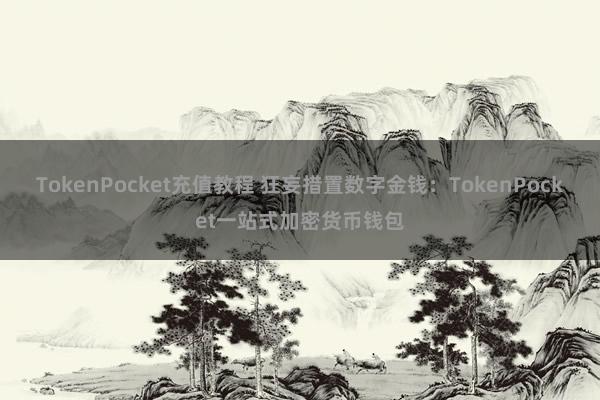 TokenPocket充值教程 狂妄措置数字金钱：TokenPocket一站式加密货币钱包