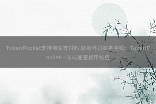 TokenPocket支持商家支付吗 搪塞科罚数字金钱：TokenPocket一站式加密货币钱包