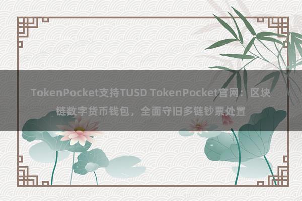 TokenPocket支持TUSD TokenPocket官网：区块链数字货币钱包，全面守旧多链钞票处置