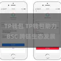 TP钱包 TP钱包助力 BSC 跨链生态发展