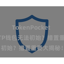 TokenPocket POS支付 TP钱包无法初始？措置重要大揭秘！